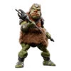 Gamorrean Guard Star Wars Episode VI 40th Anniversary Black Series Deluxe Action Figure 15 Cm -Boutique De Modèles x hasf6856