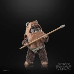 Wicket Star Wars Episode VI Black Series Action Figure 15 Cm -Boutique De Modèles x hasf7103 g